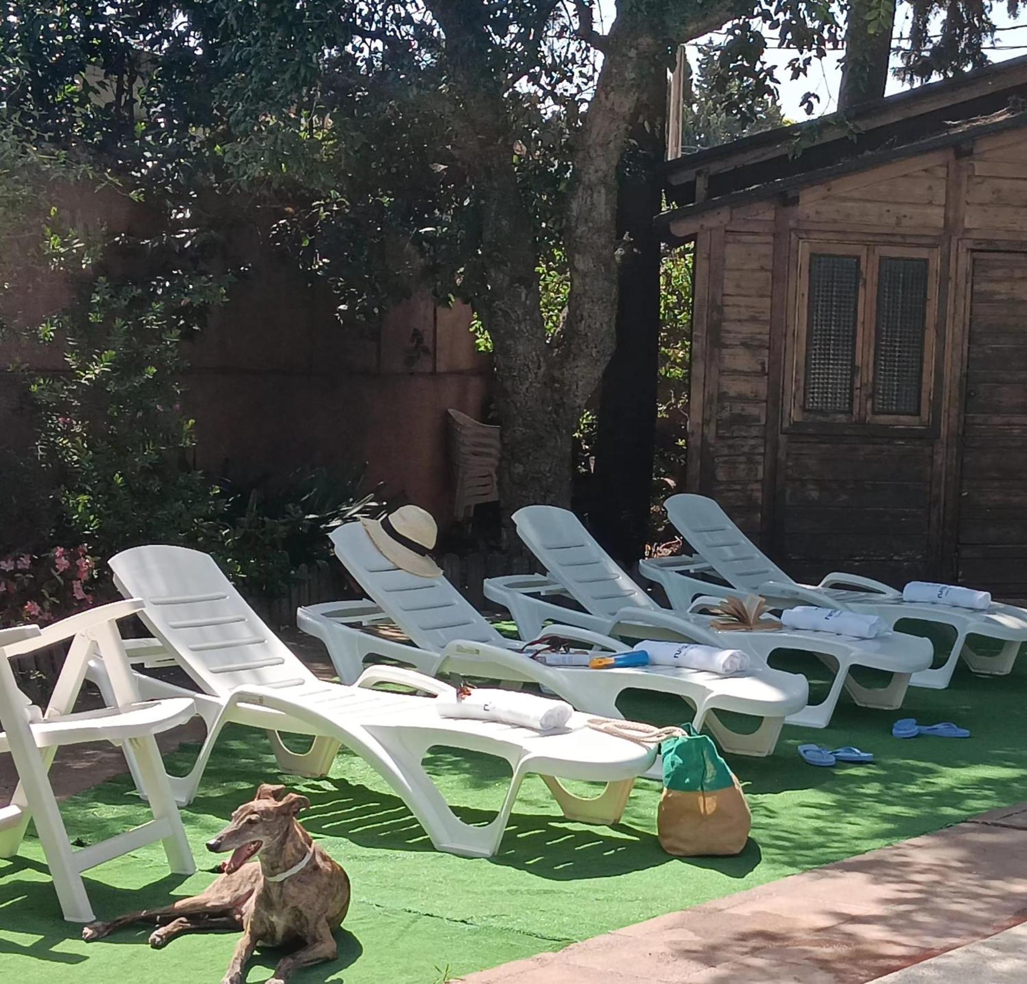 הוילה La Muela  Casa La Maestra מראה חיצוני תמונה